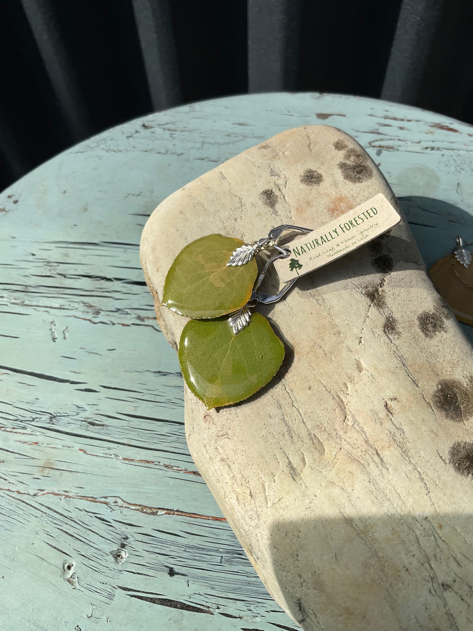 Naturally Forested - aspen earings