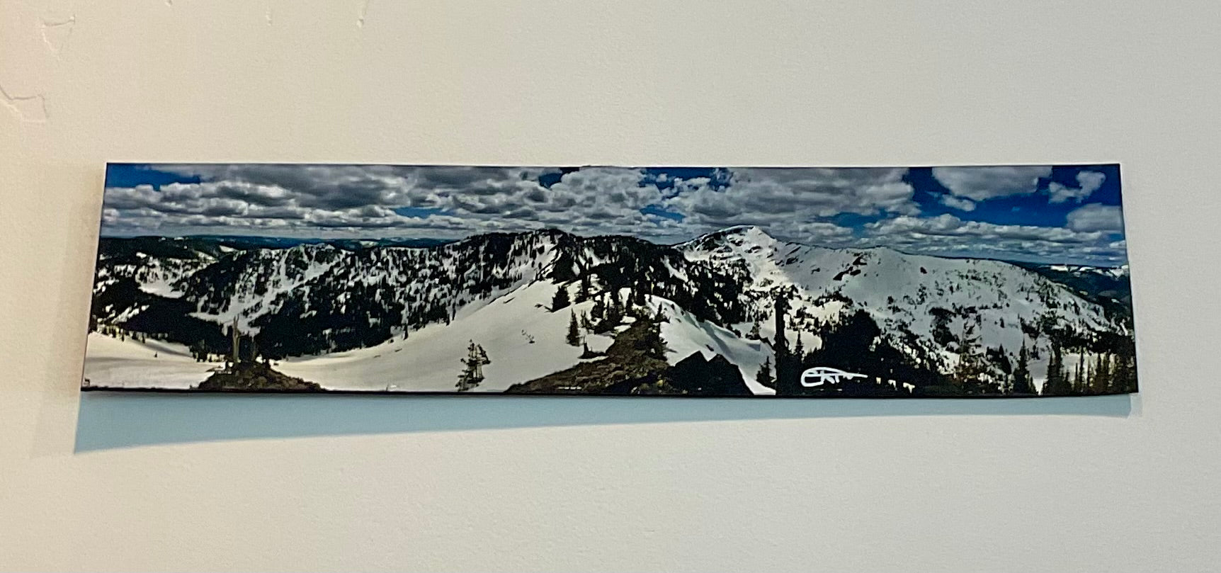 Photo- pano photos unframed