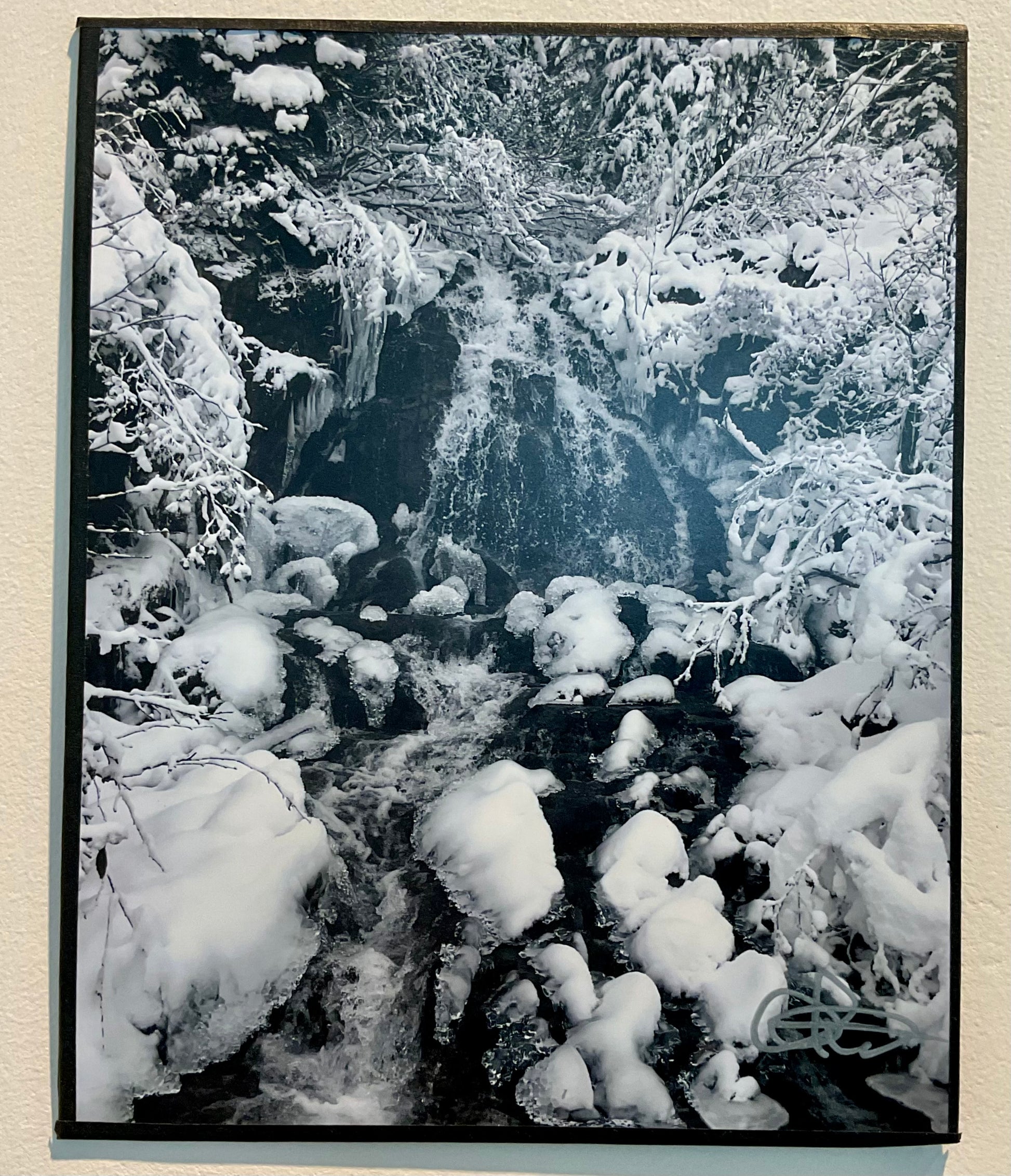 Photo- 8x10 photo unframed