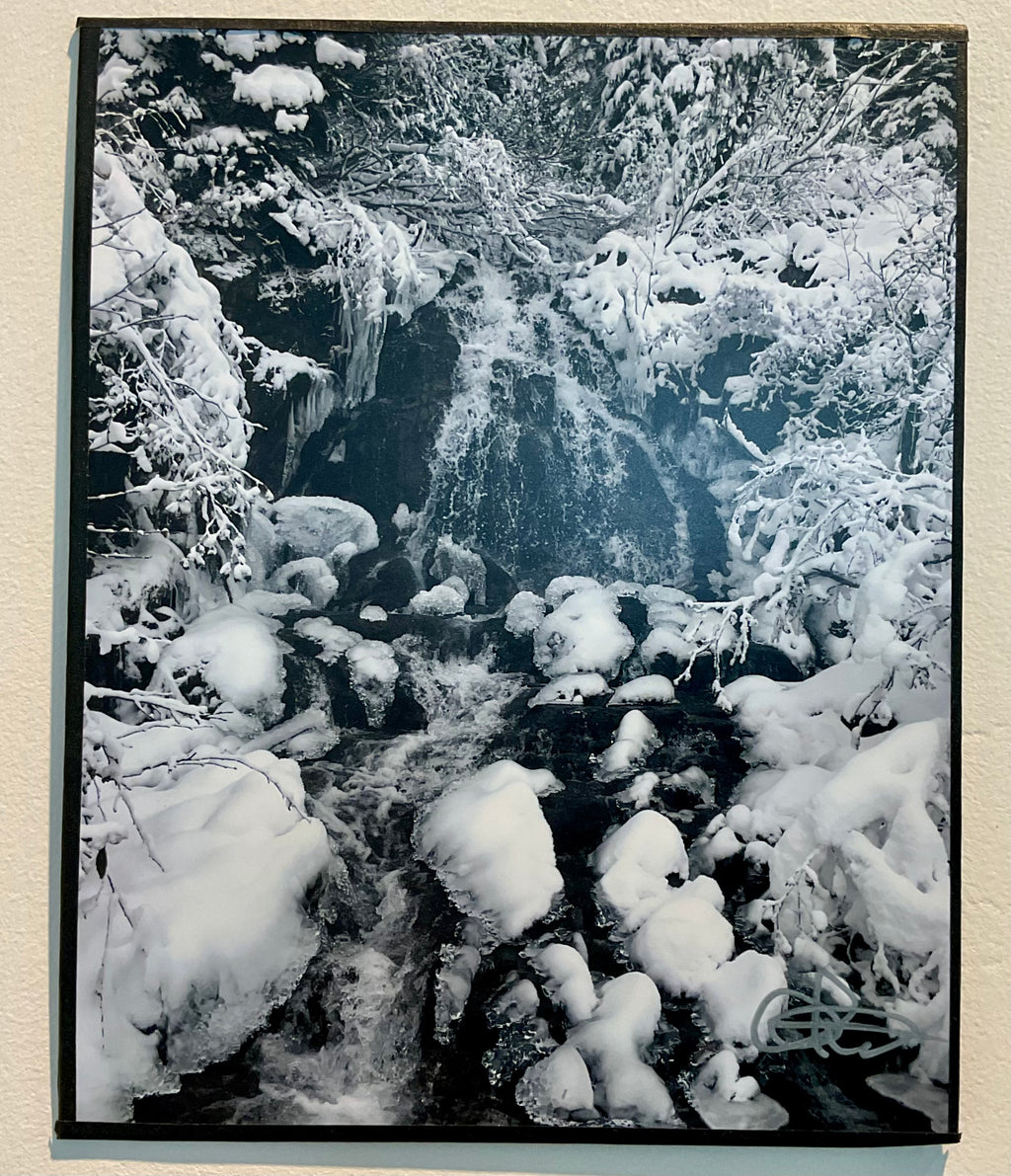Photo- 8x12 unframed