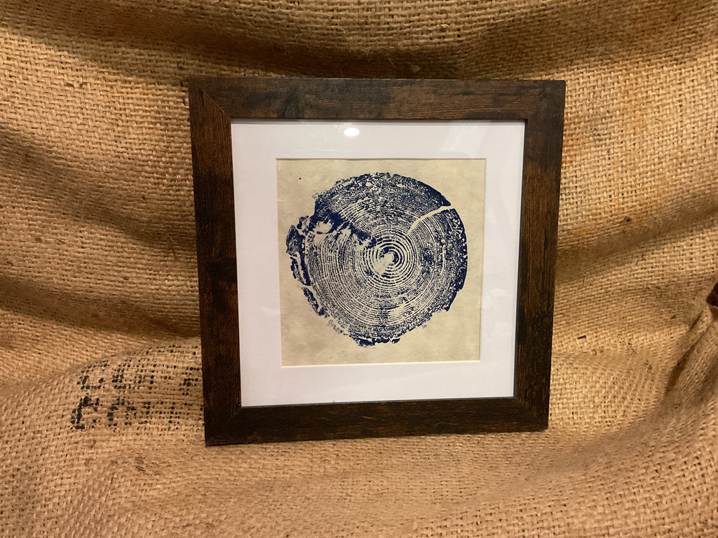 Seth’s Tree Rings framed print
