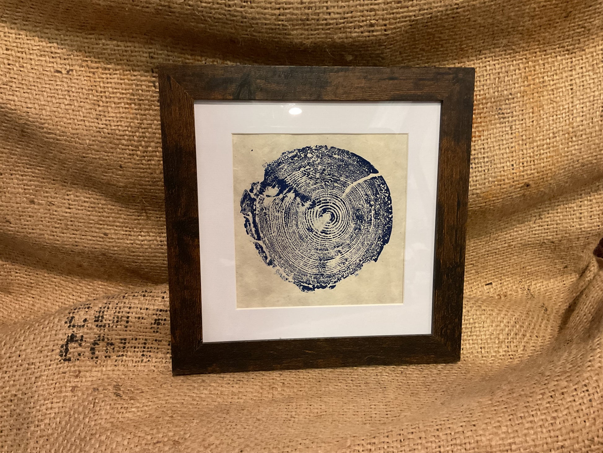 Seth’s Tree Rings framed print