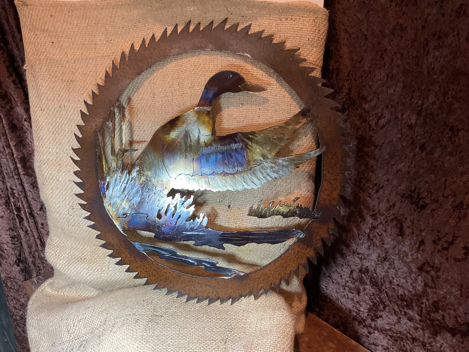 Duck in a saw blade