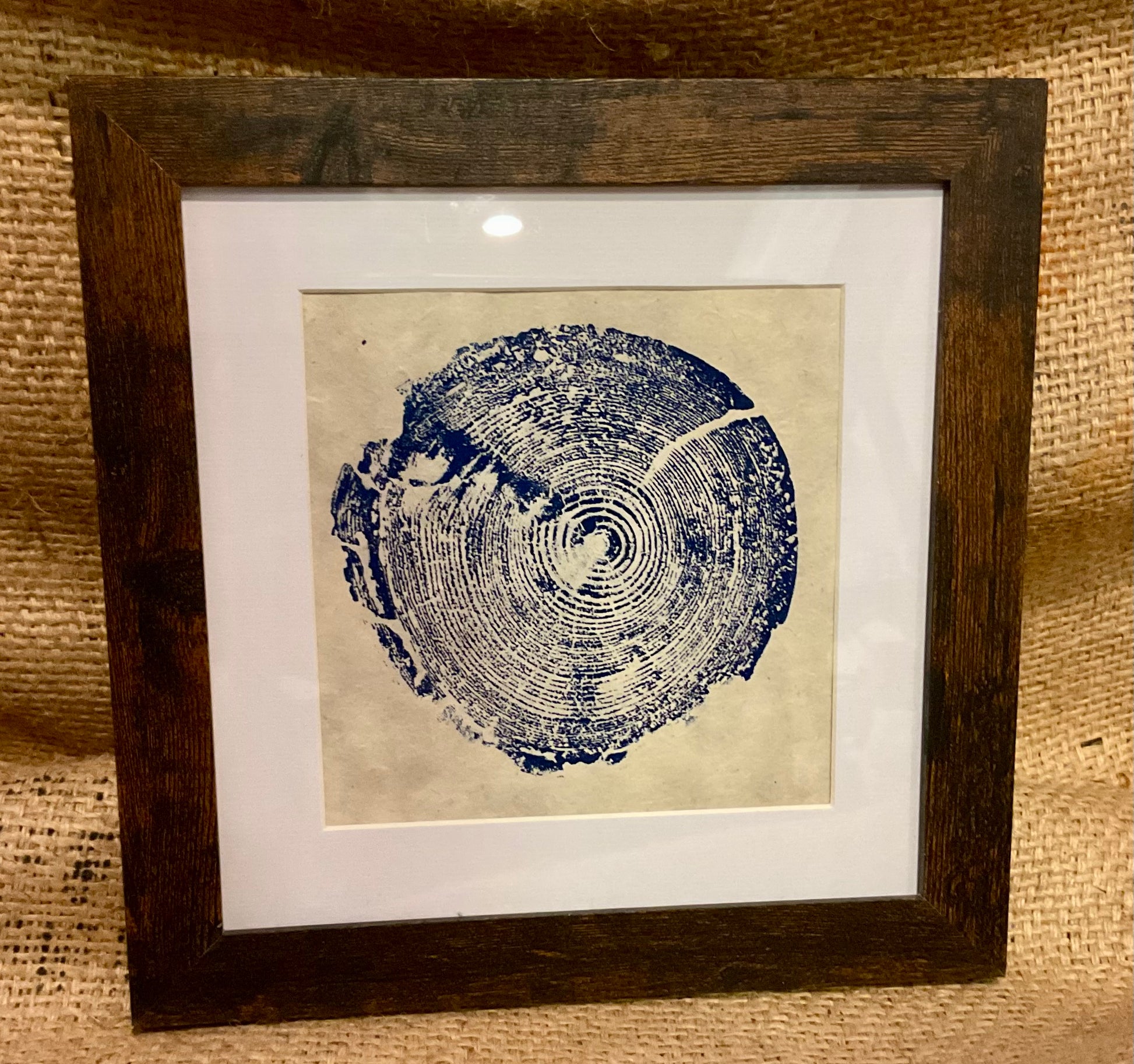Seth’s Tree Rings framed print