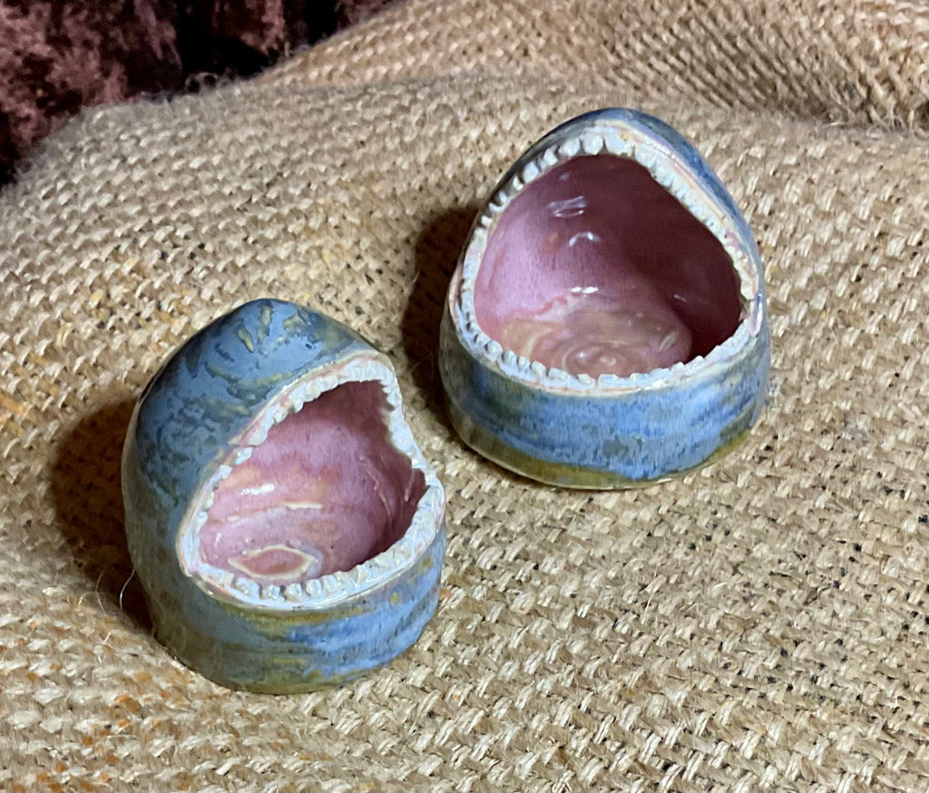 Pottery Shark dish