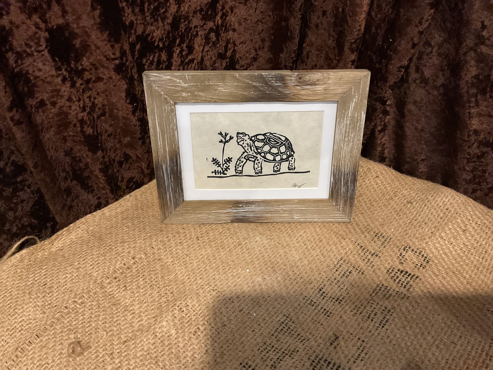 Turtle print