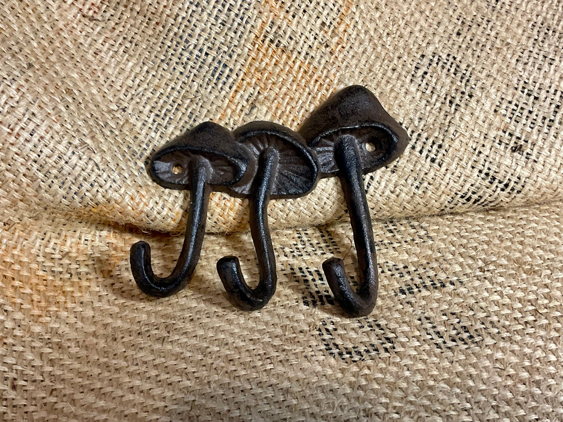 Cast mushroom wall hook