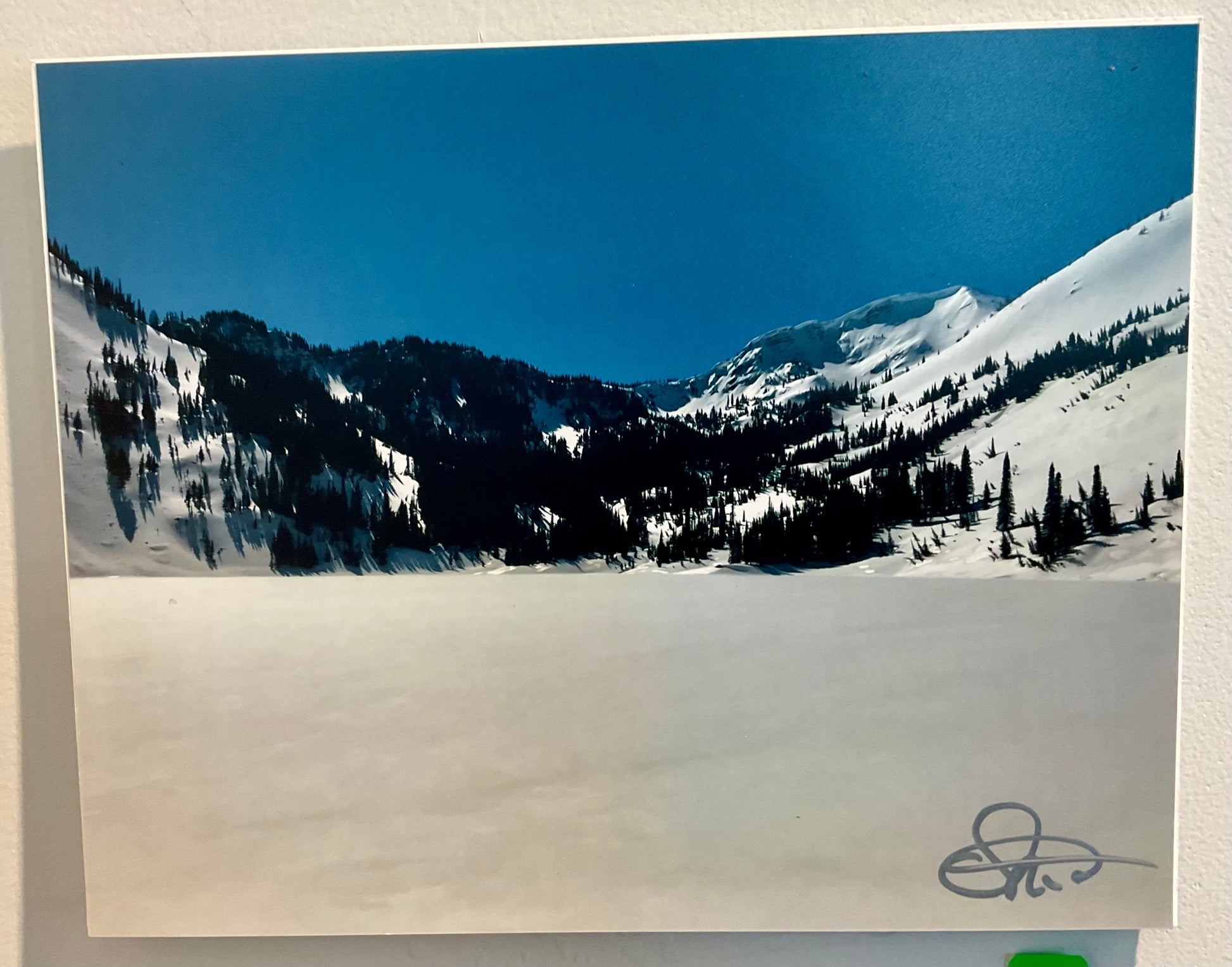 Photo- 8x12 unframed