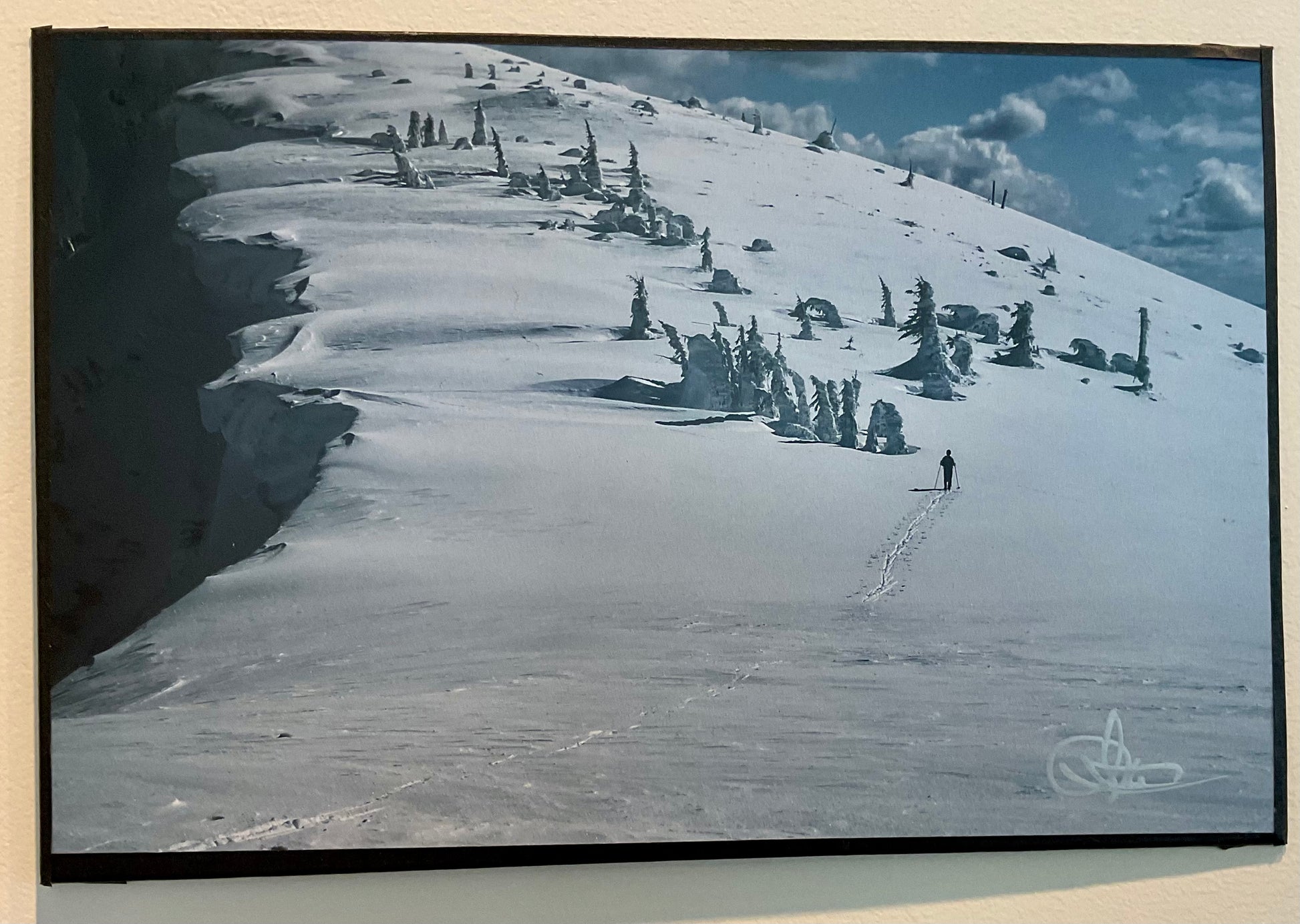 Photo- 8x12 unframed