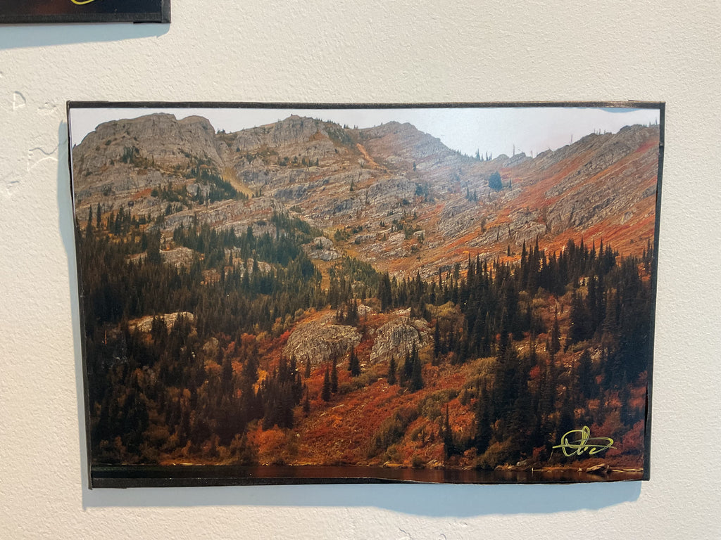 Photo- 8x12 unframed