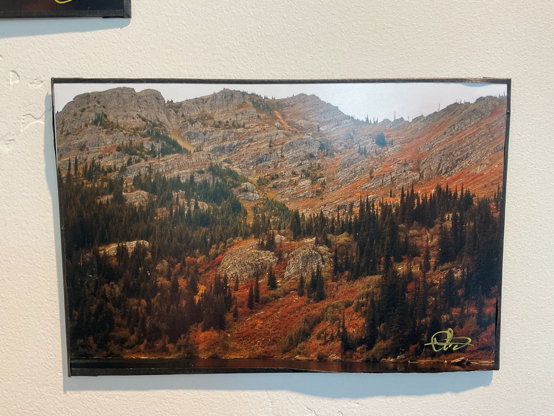 Photo- 8x12 unframed