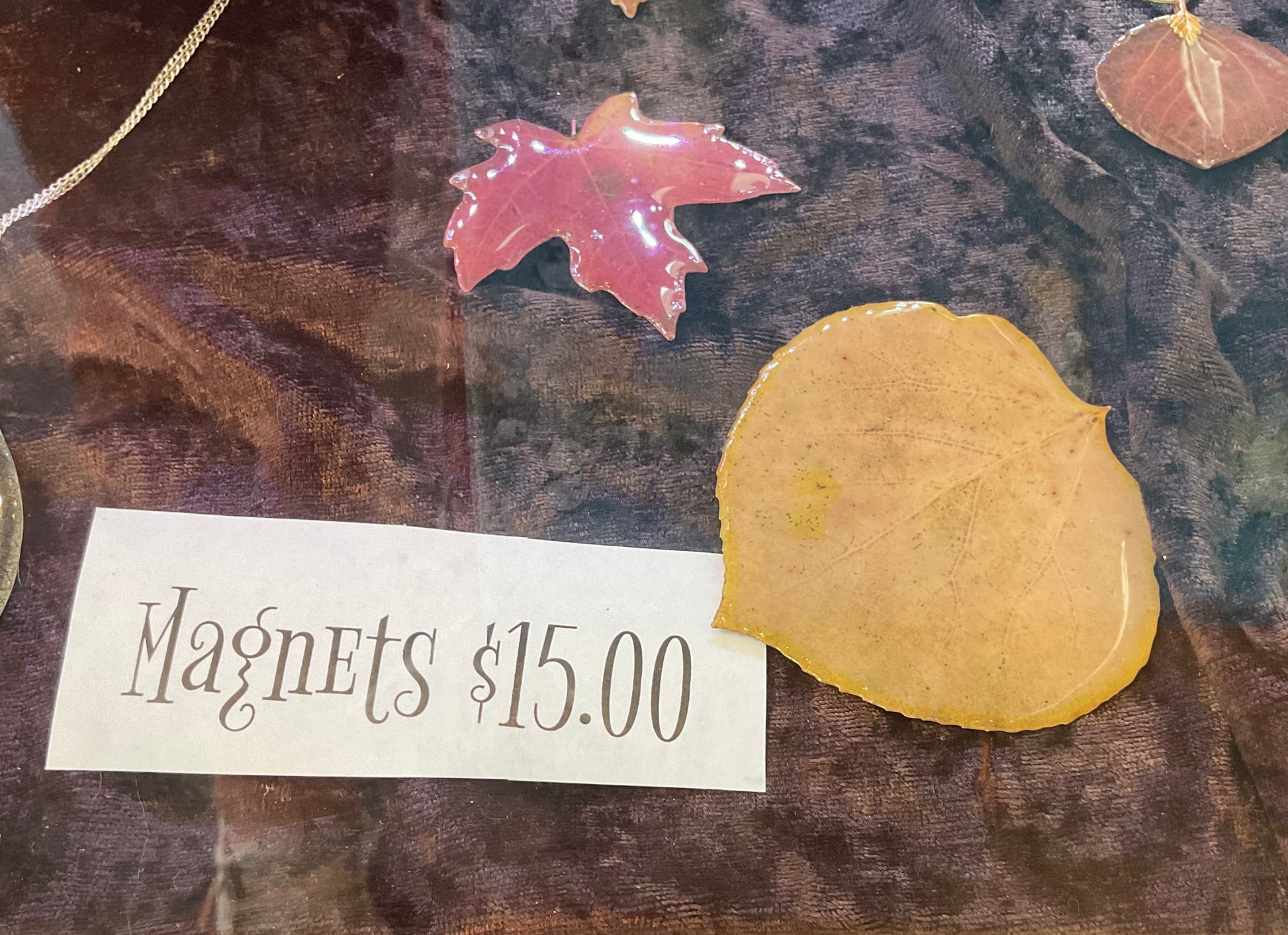 Naturally Forested-assorted MAGNETS