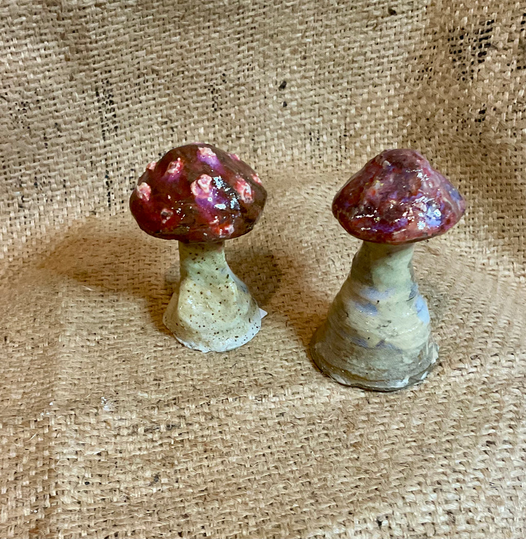 Pottery-small assorted mushrooms