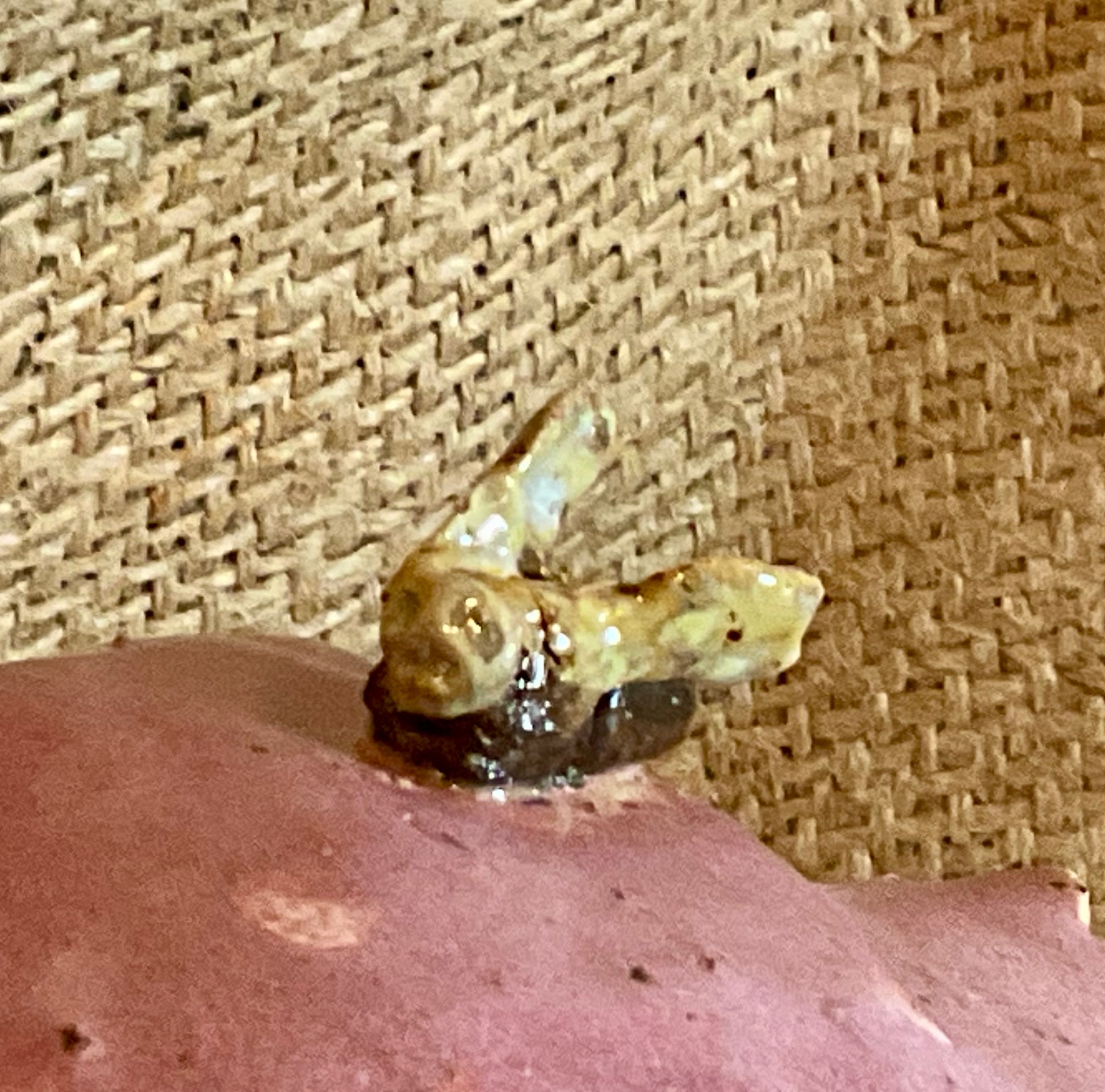 Pottery-mushroom with fly