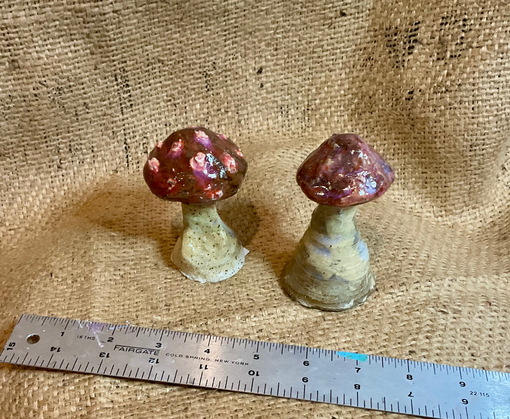Pottery-small assorted mushrooms