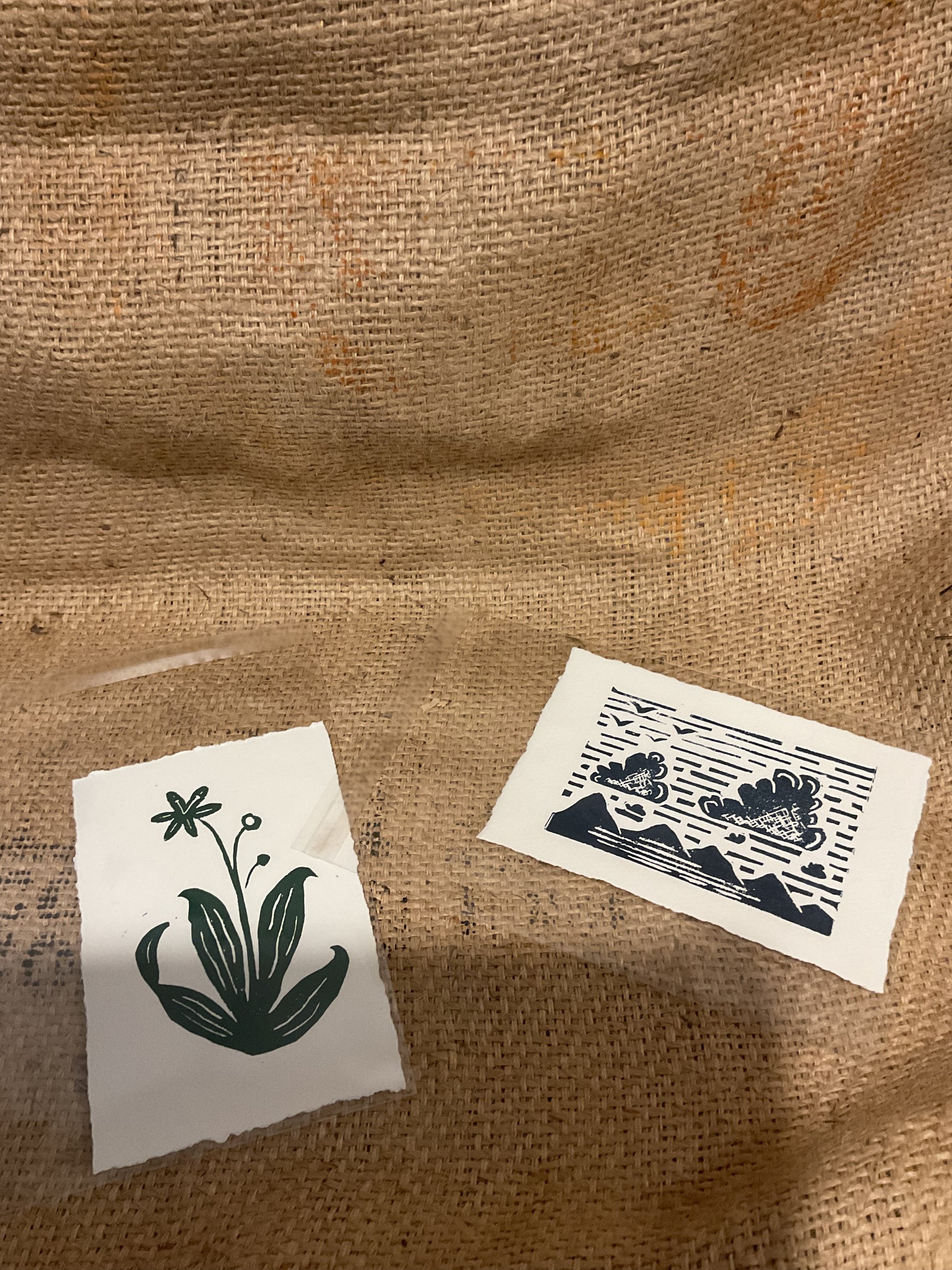 Seth’s unframed litho prints.