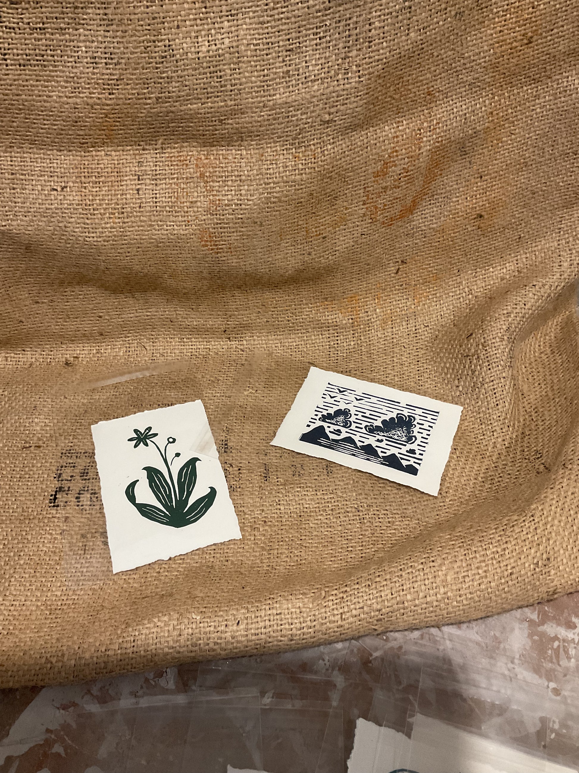 Seth’s unframed litho prints.